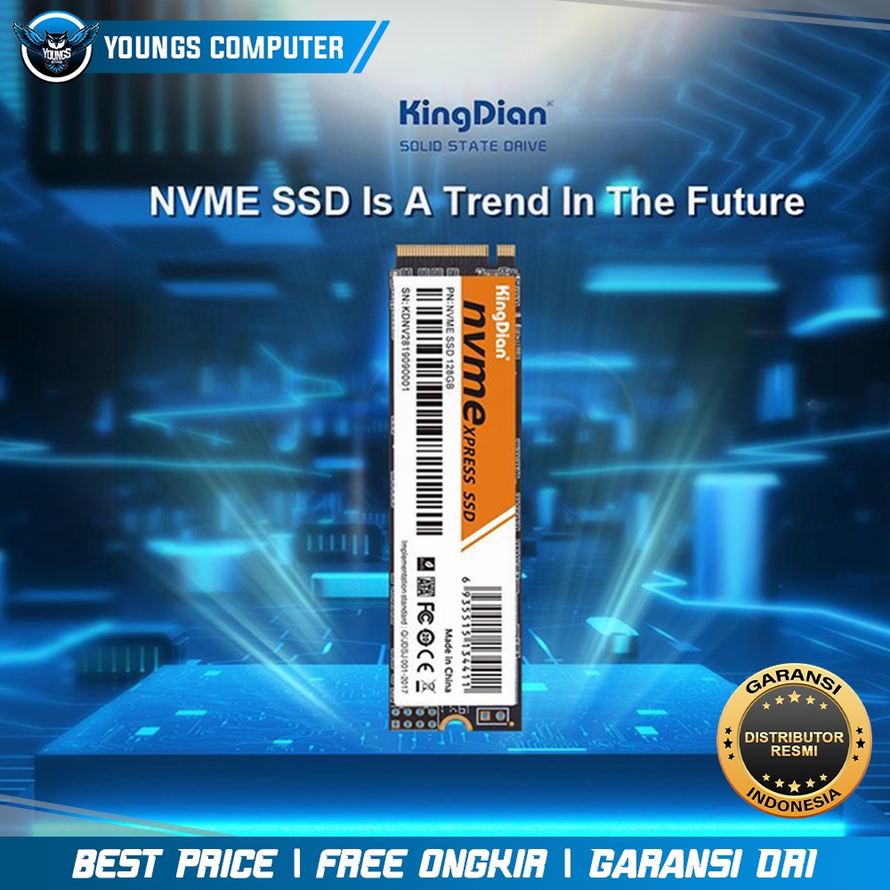 SSD NVME KINGDIAN GEN 3 ( 128GB / 256GB / 512GB / 1TB ) PCIe 3.0 M.2