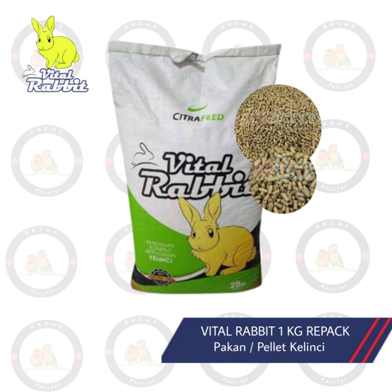 Jual TERMURAH VITAL RABBIT MAKANAN PAKAN PELLET KELINCI 1 KG REPACK CITRA FEED Shopee Indonesia