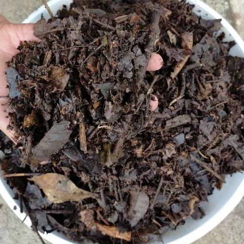 andam / humus / ranting dan daun kering hutan untuk campuran media tanam / pupuk organik / 1 kg