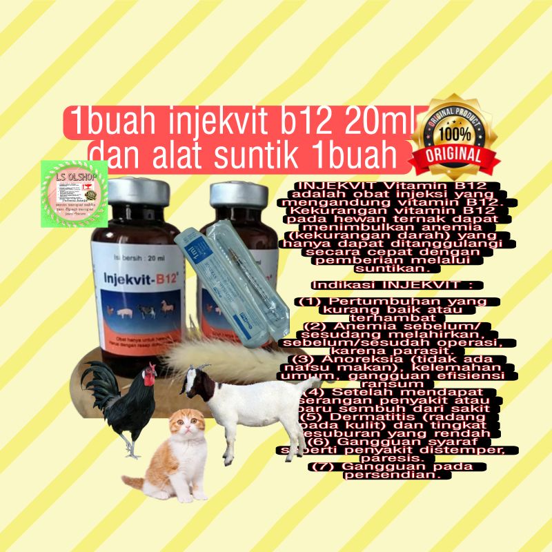 b12 20 ml bonus alat 1cc multi vitamin plus b12 ayam tarung burung merpati bebek by medion