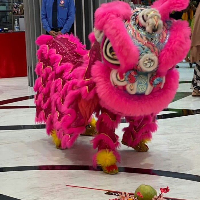 miniatur barongsai kostum