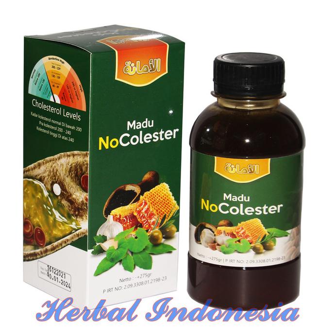 

TERLARIS MADU NOCOLESTER 275GR | OBAT HERBAL KOLESTROL TINGGI ORIGINAL