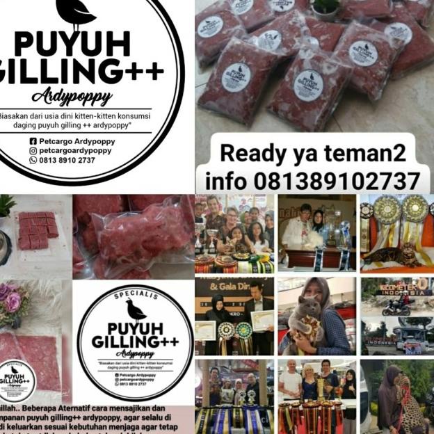 CAT RAW FOOD PUYUH GILING