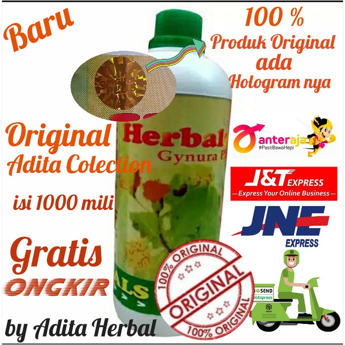 Herbal gynura plus(daun dewa)