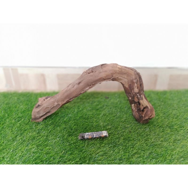 kayu santigi karang atau laut grade A175