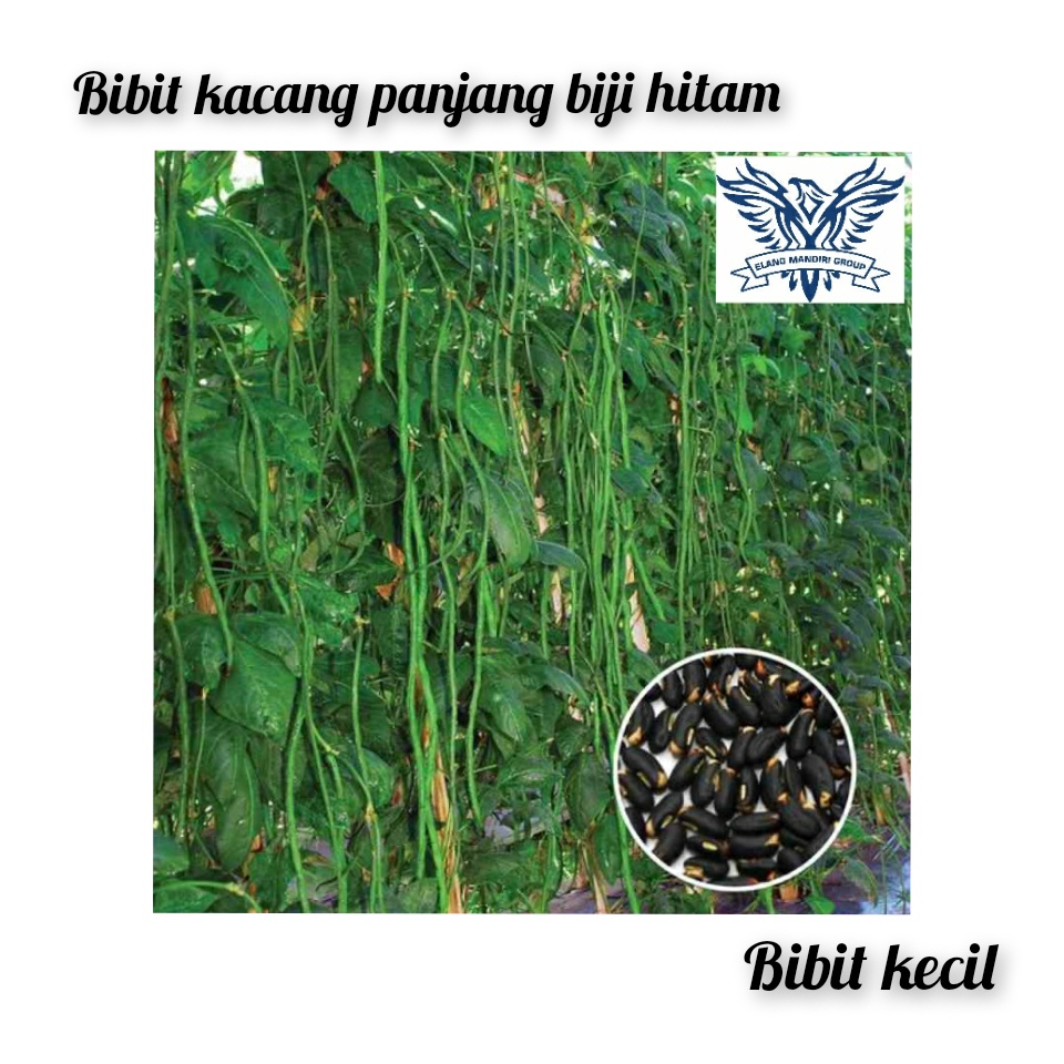 Bibit Kacang Panjang Biji Hitam Kemasan Kecil