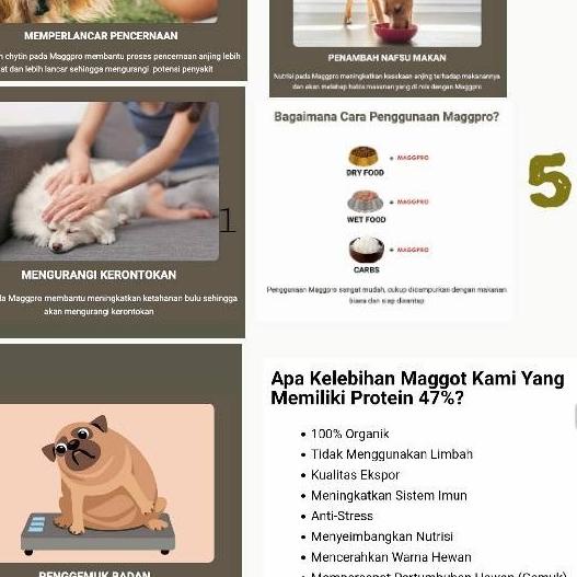 Protein Anjing MAGGPRO #supplemenanjing