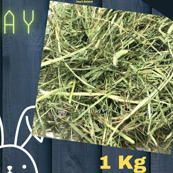 Timothy Hay import USA 1Kg rumput makanan kelinci cavy chinchilla - 1st Cut