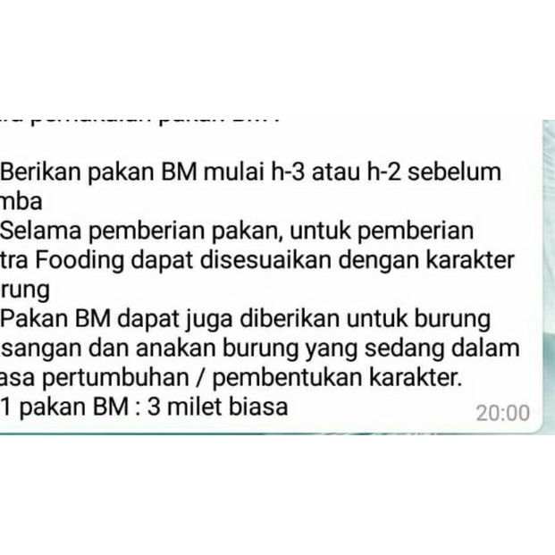 BLACK MAGIC (UNTUK LOVEBIRD BALIBU)