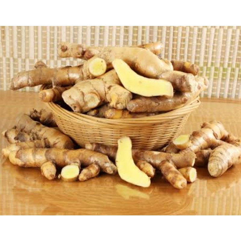 

temu mangga (Curcuma amada) 1kg
