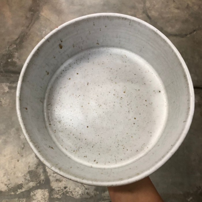 Large Pet Ceramic Bowl For Dog