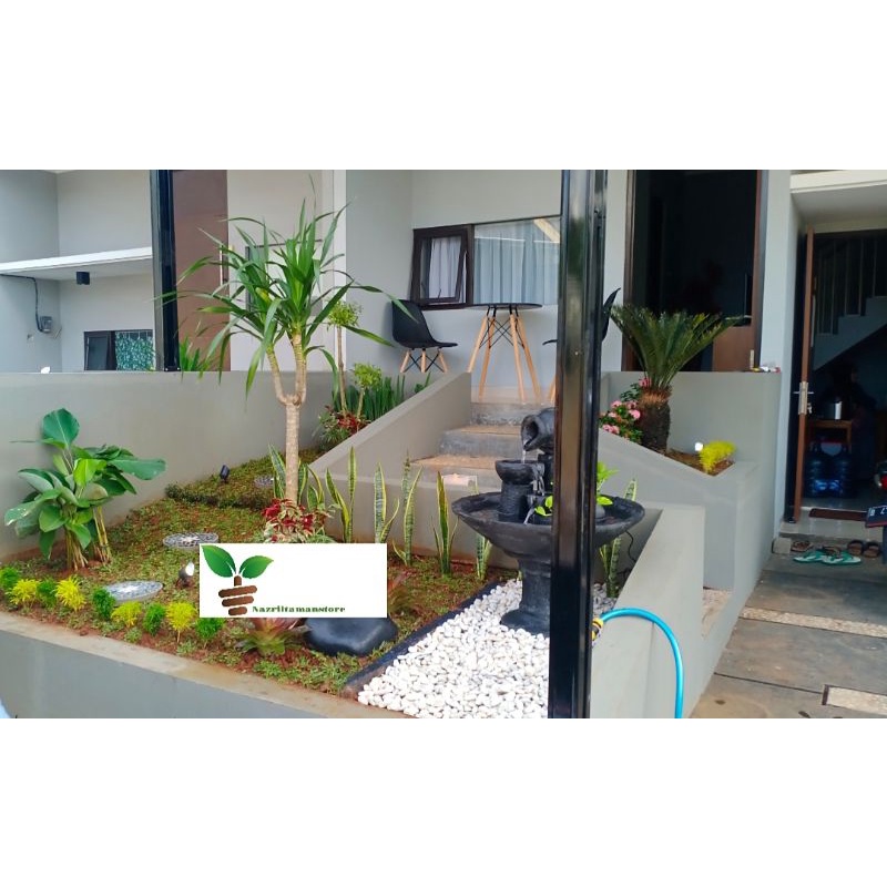 Jasa pasang taman minimalis daerah bekasi