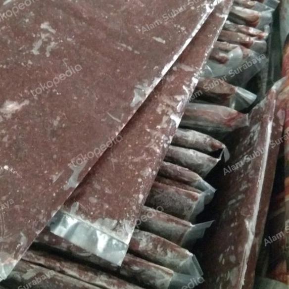 Cacing Darah Beku/ Frozen Bloodworm