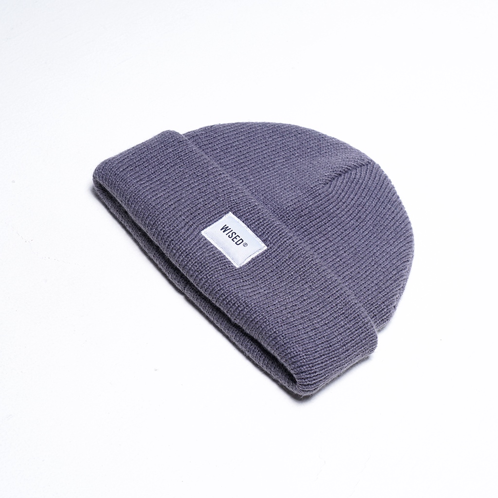 WISED | GAVIN | BEANIE