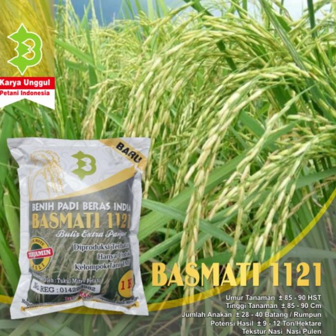 Benih Padi Basmati