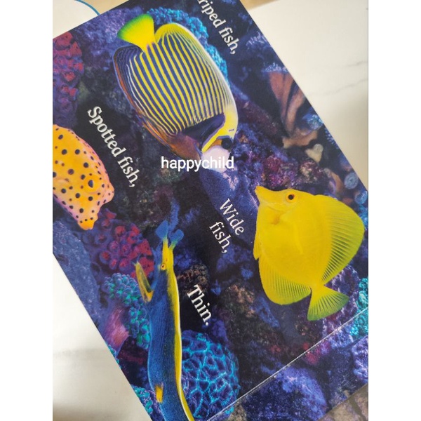 Original PET by Matthew Van Fleet touch feel push pull buku impor happychild