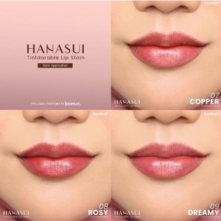 ^ KYRA ^ Hanasui Liptint Tintdorable Lip Stain Dengan Vitamin E Hydrolized Milk Protein Lip Tint - Net 3.5 g