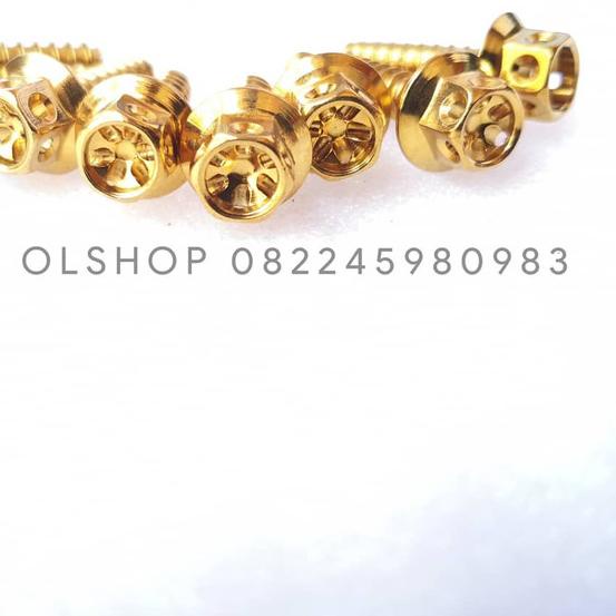 Baut Probolt Gold Untuk Baut Cover Filter Vario 125, 150 & PCX CBU