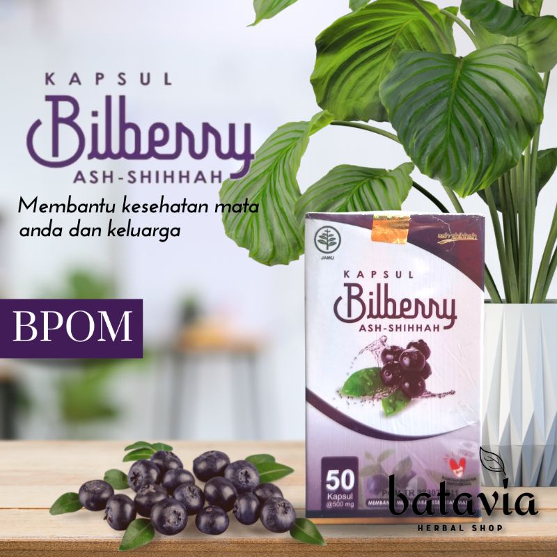Jual Kapsul Bilberry Ash Shihhah Herbal Mata Sehat BPOM ORIGINAL