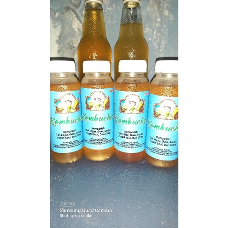

original kombucha