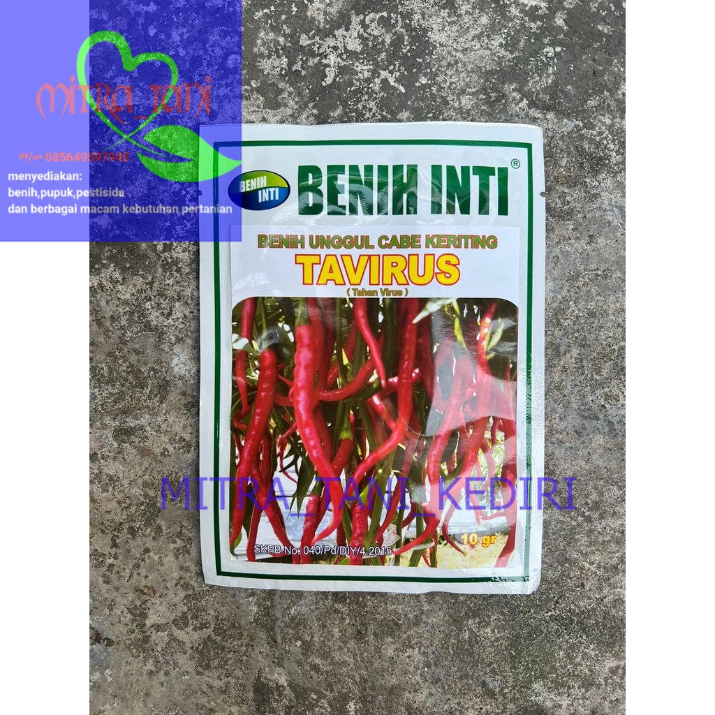 Benih Cabe Keriting Tahan Virus TAVIRUS isi 10gram dari BENIH INTI