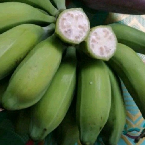 

pisang muda