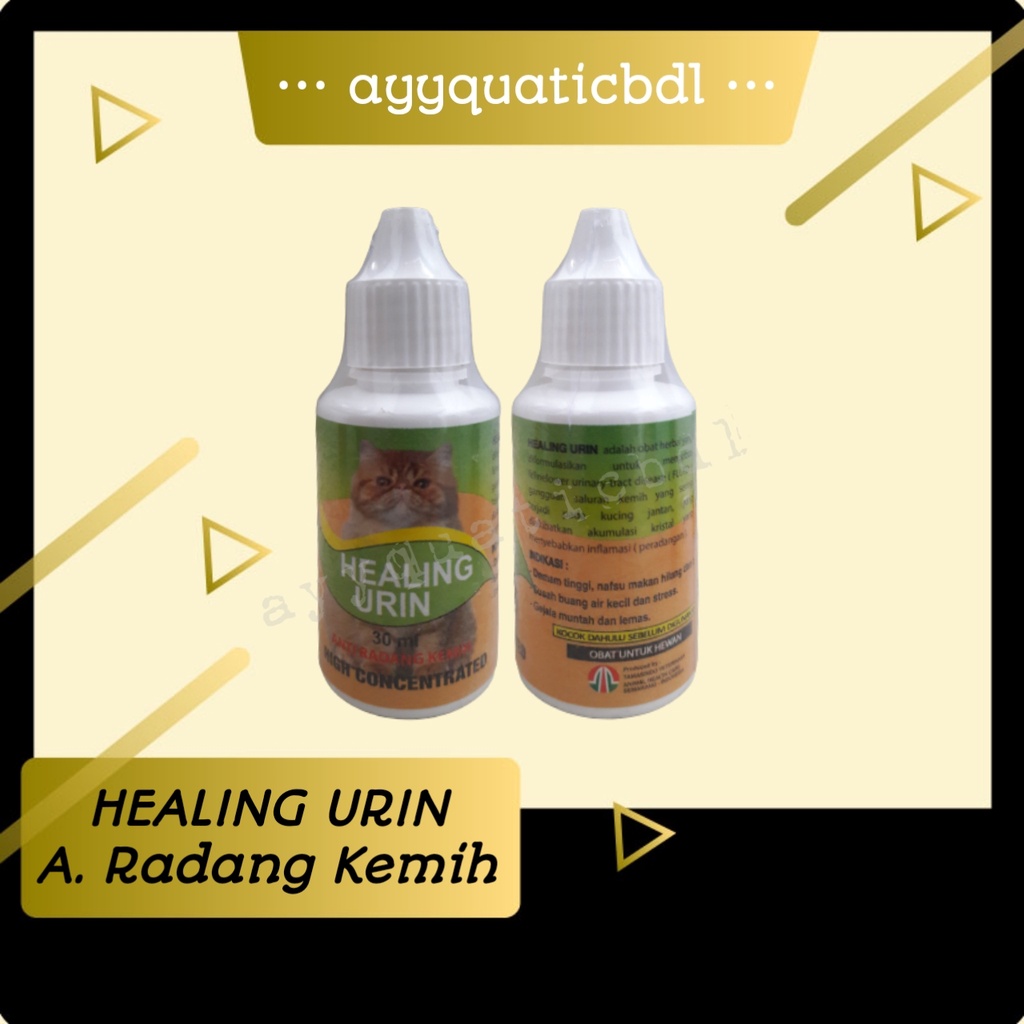 HEALING URINE Obat Kucing Anti Radang Kemih | Susah Kencing