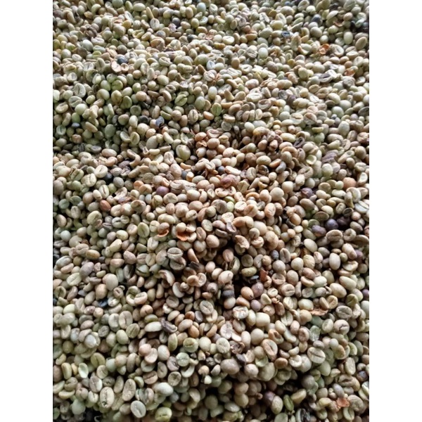 

kopi robusta asalan