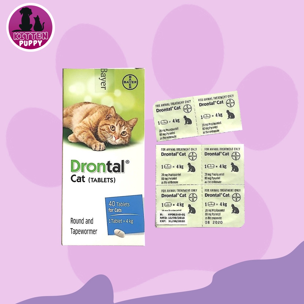 Drontal Cat 1 Tablet / Obat Cacing Kucing / Tablet