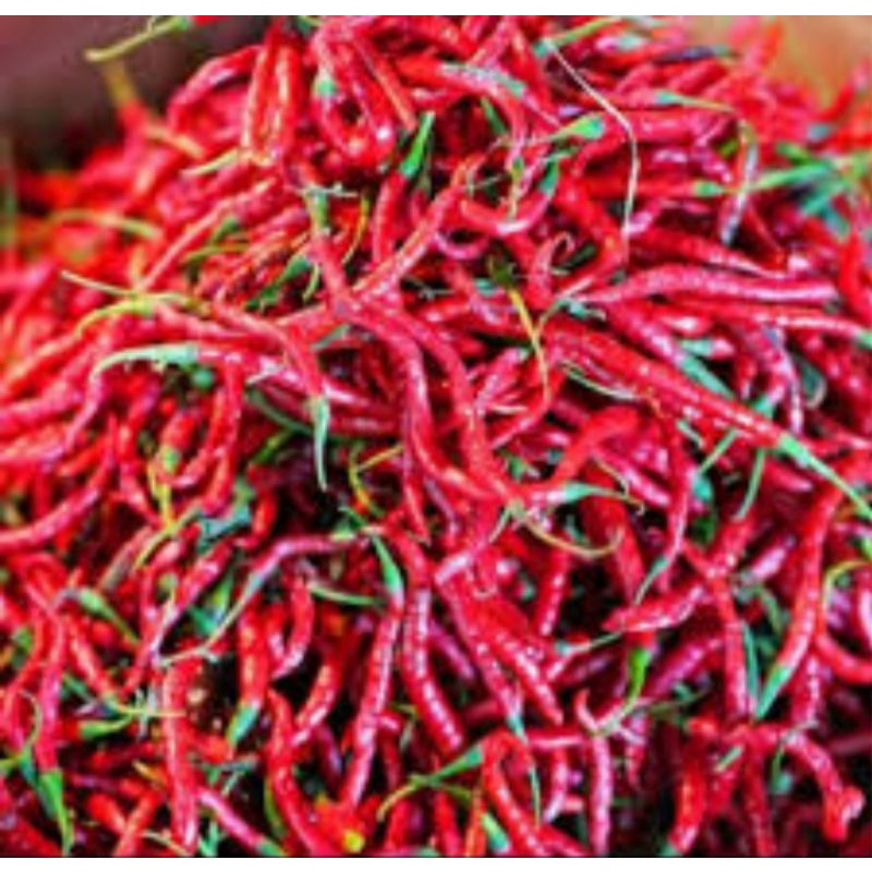 

CABAI MERAH KERITING 1000gr