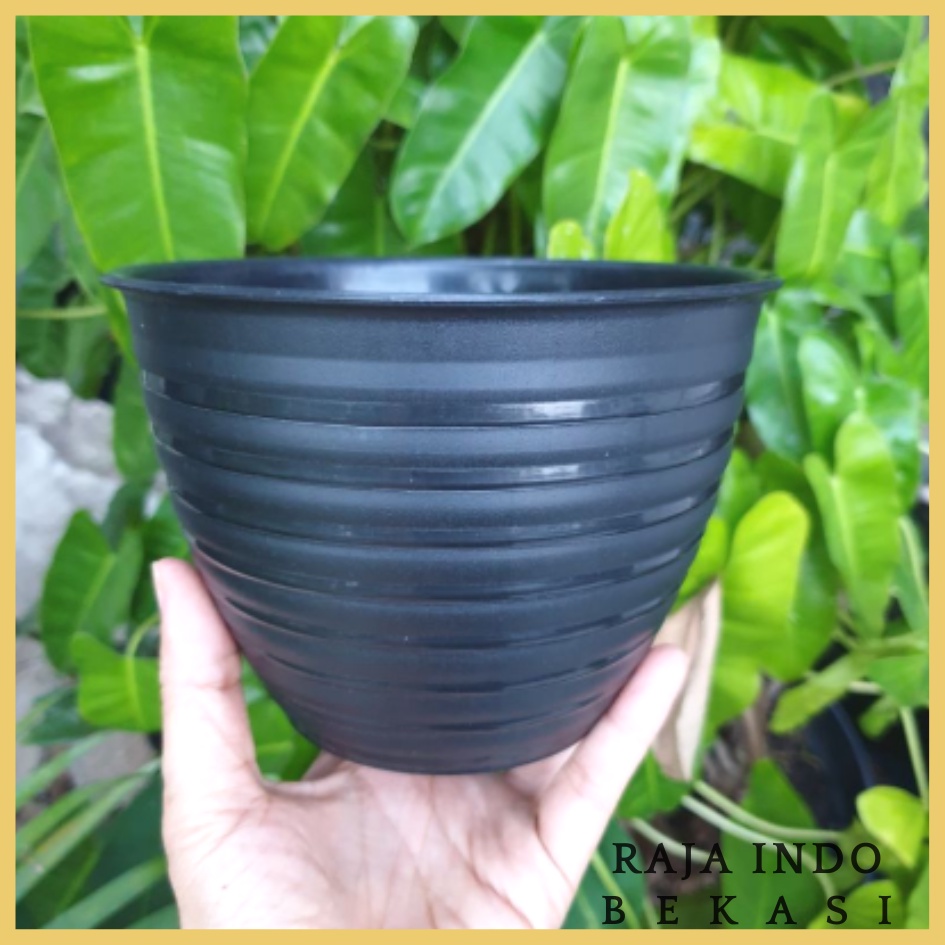 TERMURAH MDN TAWON 15 (15cm) pot bunga model tawon putih dan warna warni GROSIR