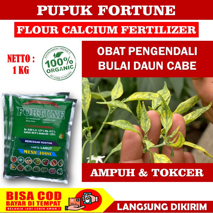 (BAYAR DI TEMPAT) Pupuk KALSIUM FORTUNE 1 KG Obat Pengendali Bulai Daun Cabe - Obat Kalsium FORTUNE 