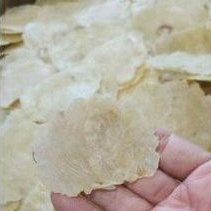 

COD EMPING MELINJO MENTAH KERING ORIJINAL HAS PANDEGELANG 1 KG