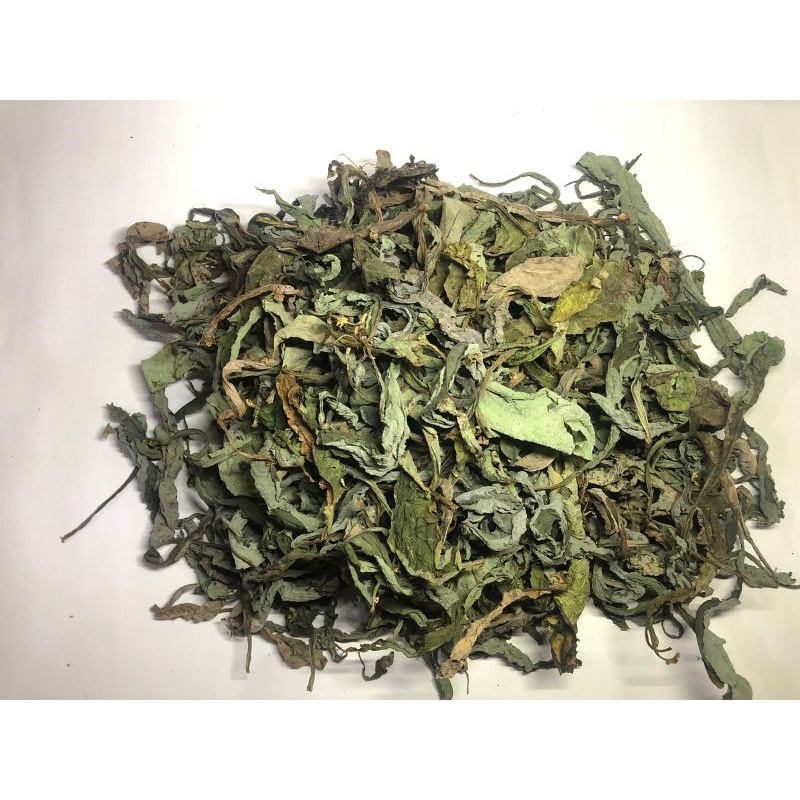 

Daun Tempuyung/ Sonchus Arvenis Kering 100GR Untuk Penderita Batu Ginjal