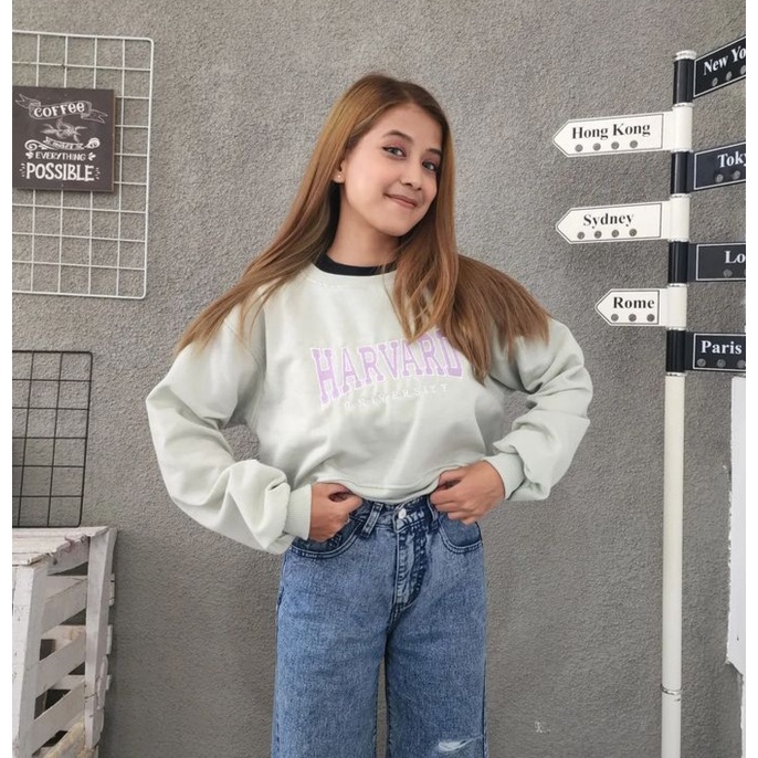 Sweater Wanita HARVARD BORDIER Croope Pakaian Blouse Terbaru Desain Simple Elegan Kasual Fashion