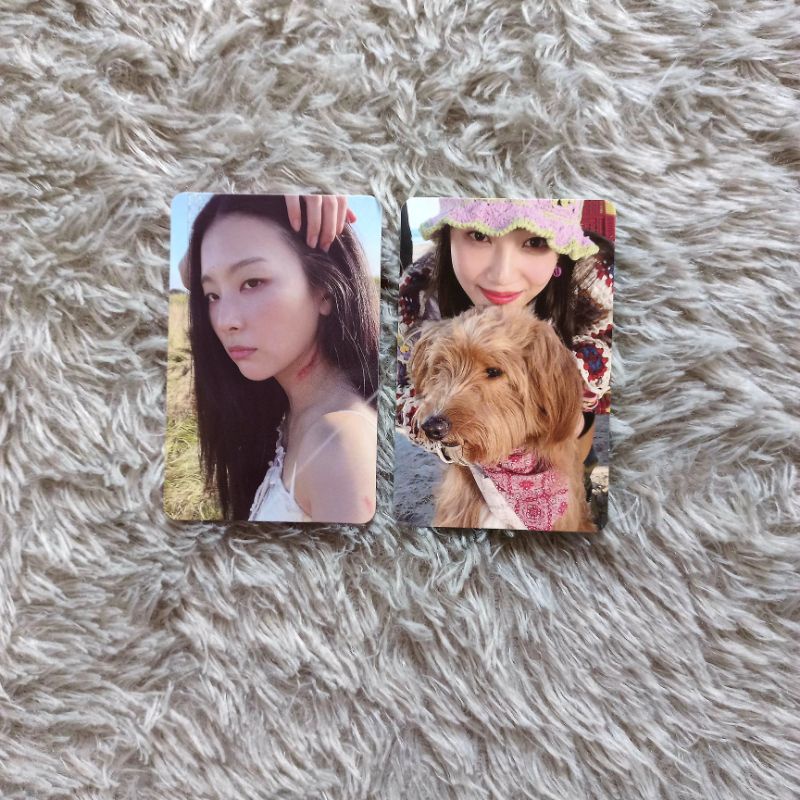 PC Photocard Red Velvet Seulgi 28 Reasons Joy Hello Benji