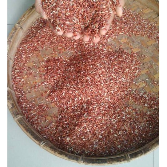 

や BERAS MERAH PULEN/PUNEL 1000gram / 1Kg PANEN BARU ➫
