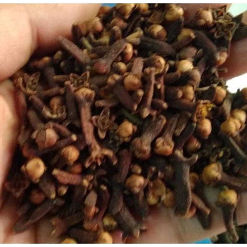 

READY Bumbu Cengkeh Kering 100gr/25gr