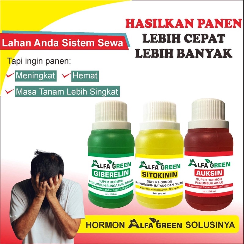 Jual Pupuk Organik Cair POC Nutrisi Tanaman Dan Tumbuhan Hormon Auksin ...