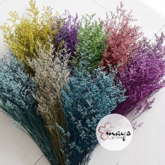 [1 Ikat] Dried Preserved Flower Limonium Caspea - Bunga Kering Lovergrass Caspia Awetan - Lover Gras