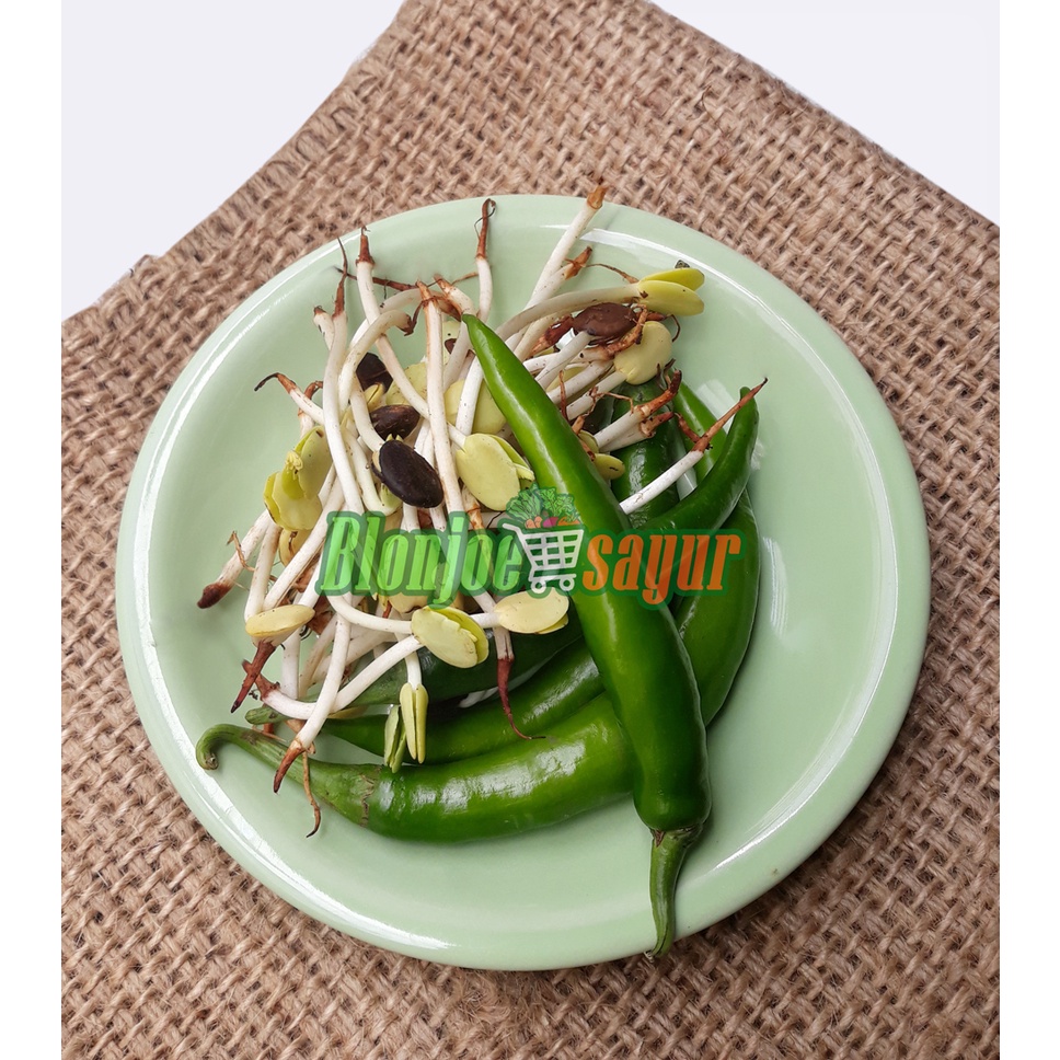

LOMBOK IJO ALE / LOMBOK HIJAU CAMPUR ALE / LOMBOK HJAU KECAMBAH ALE / CABAI HIJAU BESAR CAMBAH ALE