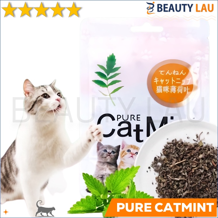 CATMINT KUCING CAT MINT BUBUK DAUN CATNIP CATMINT POWDER BUAT NGEFLY RELAKSASI KUCING