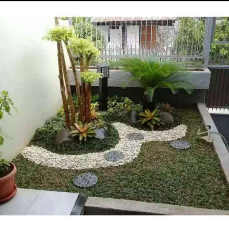 taman minimalis/taman plus kolam ikan minimalis