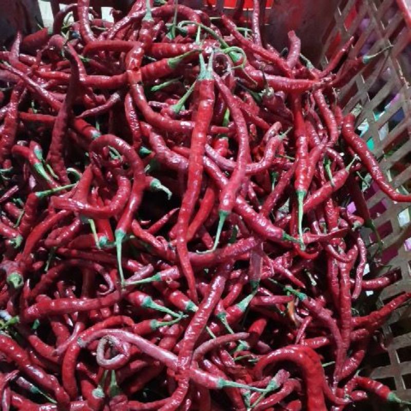 

CABE KRITING 250gr & 500Gr