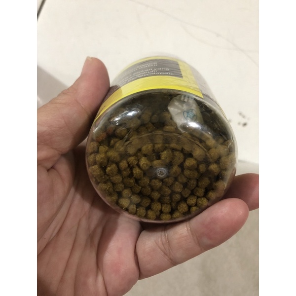 PELET CHANNA PAKAN IKAN PREDATOR