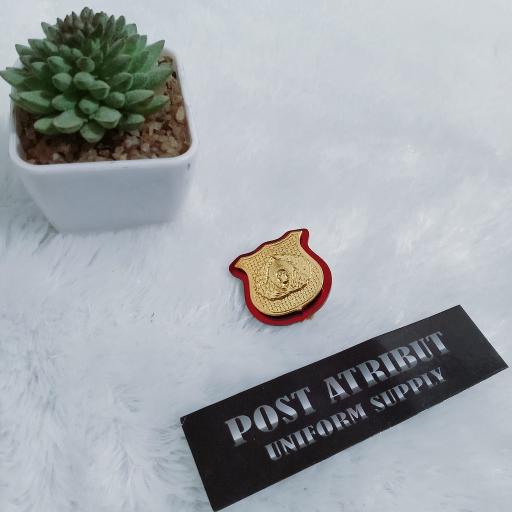 Pin PAS / Pin Pemasyarakatan