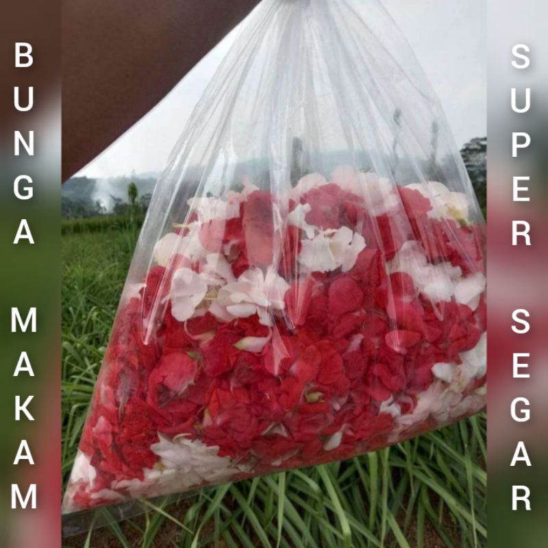 Bunga Tabur Makam/bunga pihong 400 gram murah