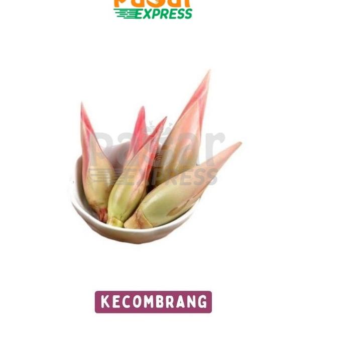 

ㅔ [Pasar Express] Tunas Kecombrang Per Pcs / Produk Musiman