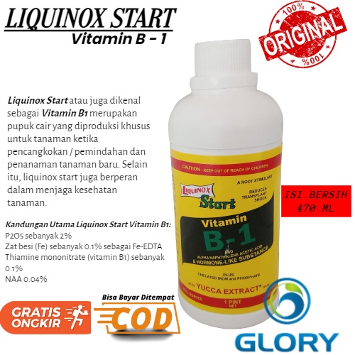 Pupuk Liquinox Start Vitamin B1 470ML Untuk Tumbuhan Atau Obat Anti Stres Pada Tanaman Thailand Aglo