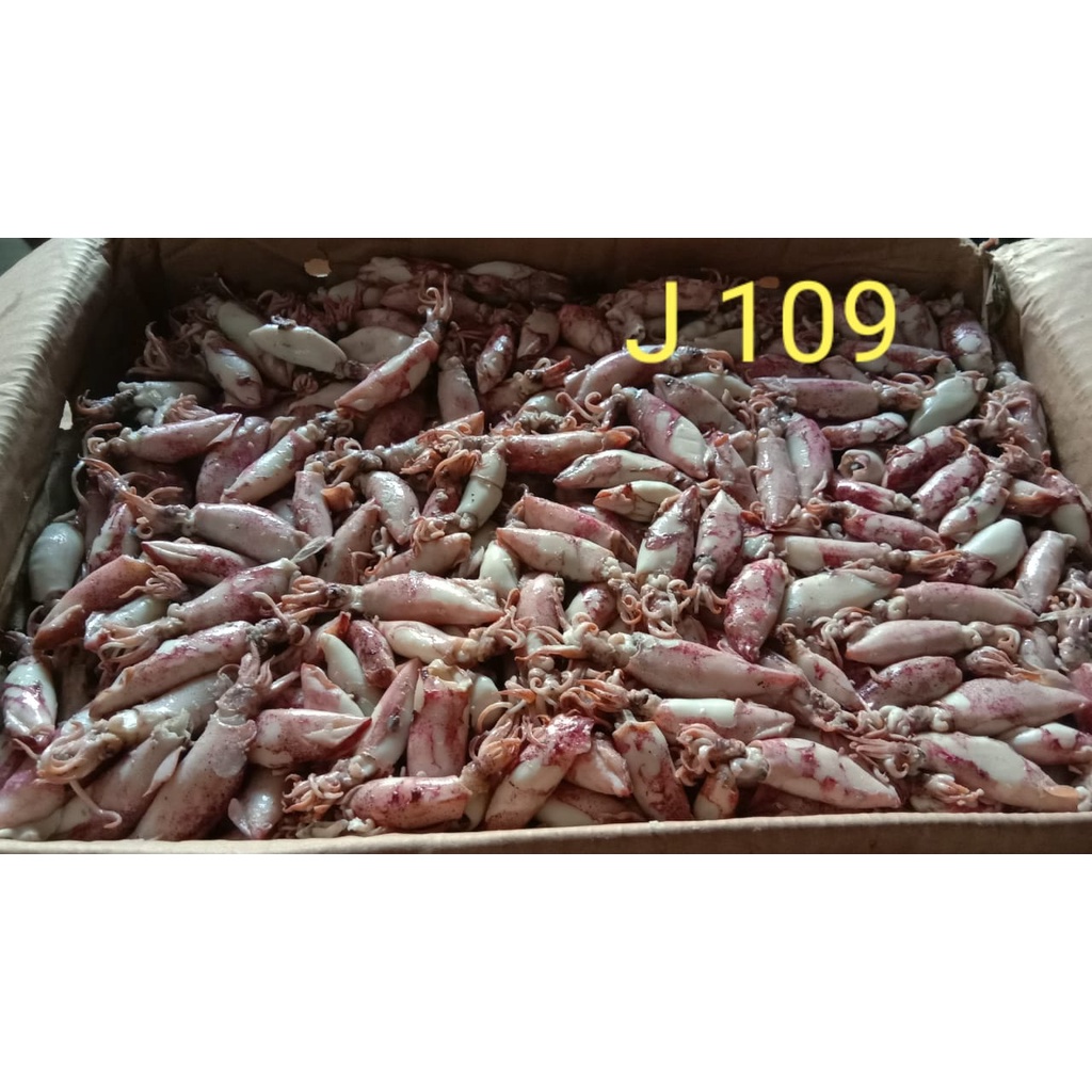 

Oleh Oleh Sontong Jarum 500gr